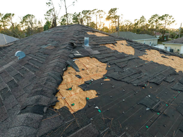 Roof Coating Services in Wendell, NC